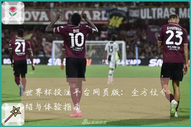 世界杯投注平台网页版：全方位介绍与体验指南
