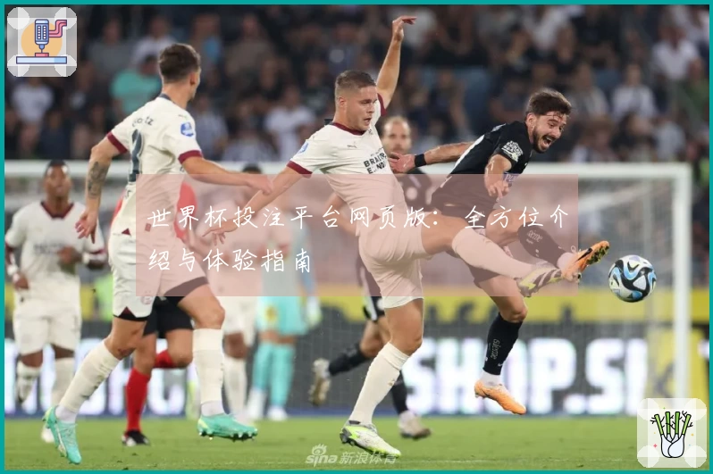 世界杯投注平台网页版：全方位介绍与体验指南
