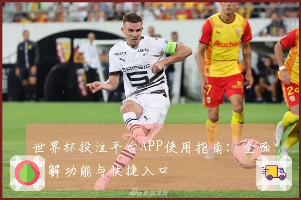 世界杯投注平台APP使用指南：全面了解功能与快捷入口