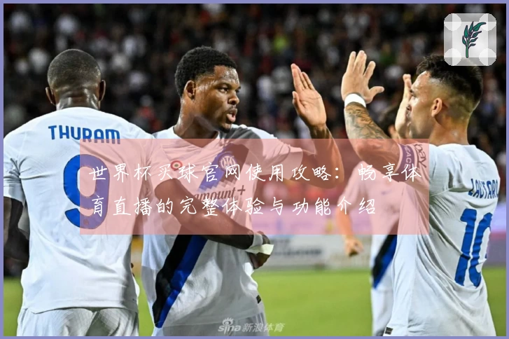 世界杯买球官网使用攻略：畅享体育直播的完整体验与功能介绍