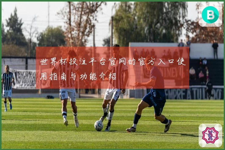 世界杯投注平台官网的官方入口使用指南与功能介绍