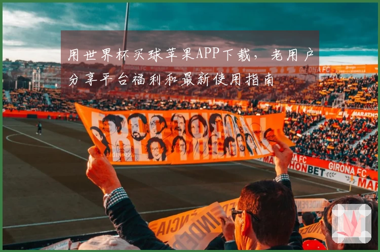 用世界杯买球苹果APP下载，老用户分享平台福利和最新使用指南