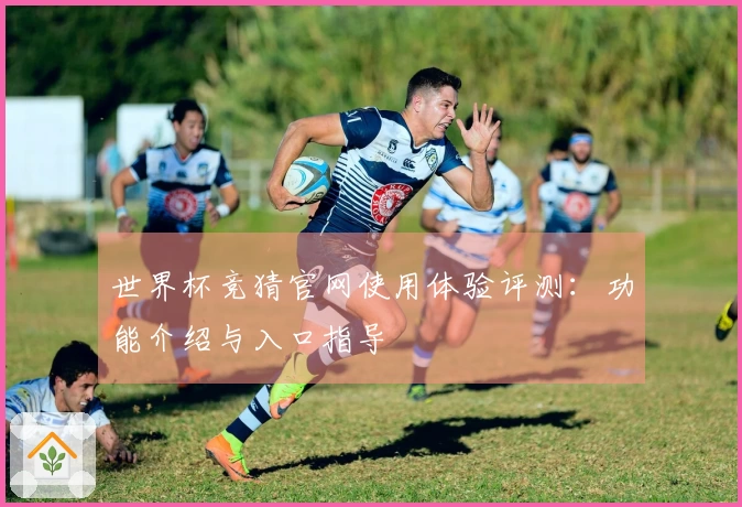 世界杯竞猜官网使用体验评测:功能介绍与入口指导